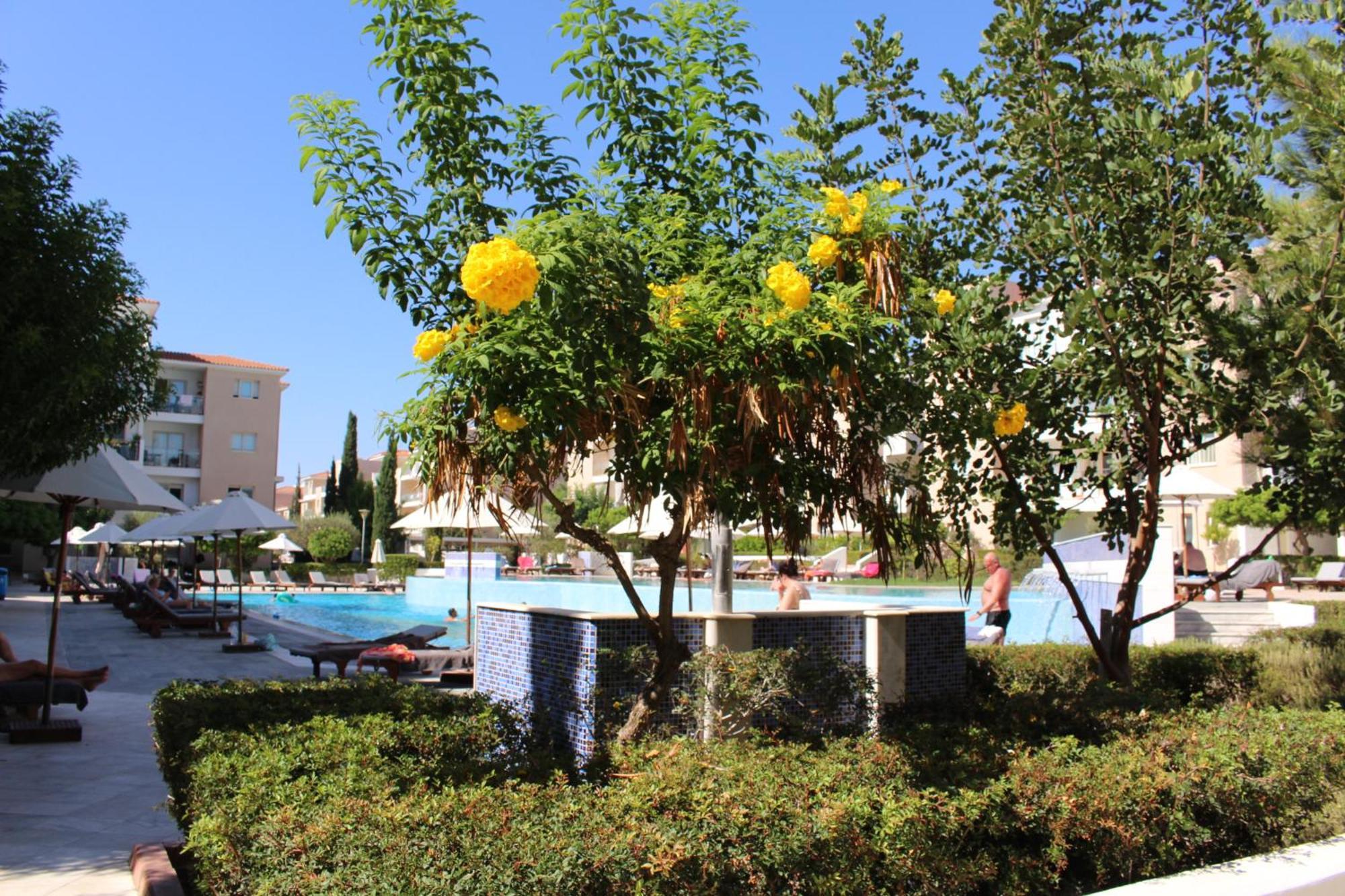 Apartament Modern Vacation At Elysia Park *